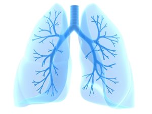 Asthma 