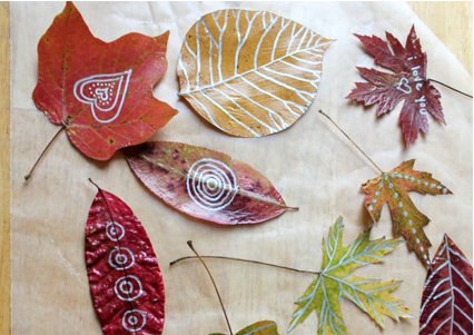 leaf 