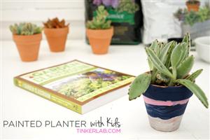plant 