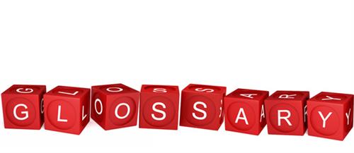 Glossary 