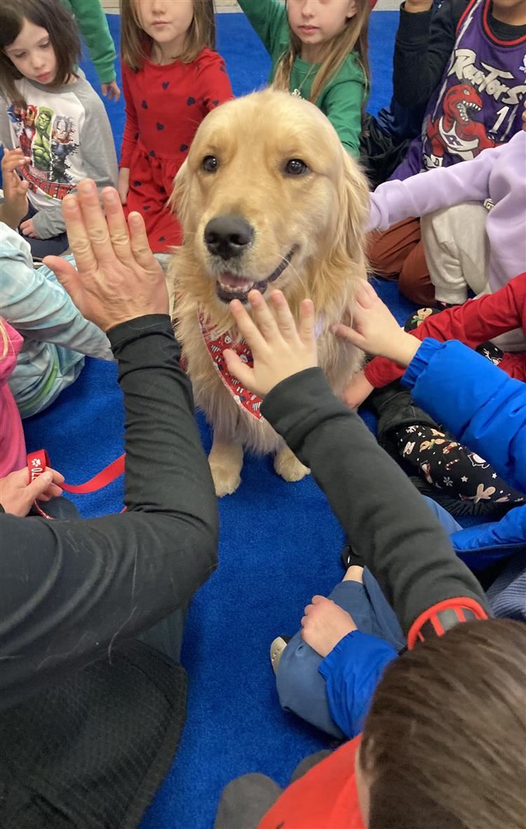  Cooper the therapy dog