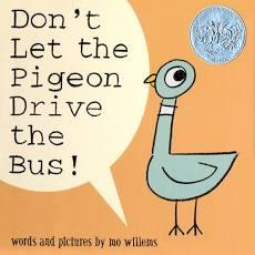 Pigeon 