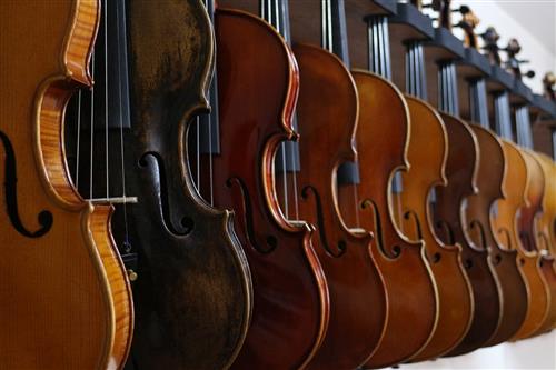 Violin
