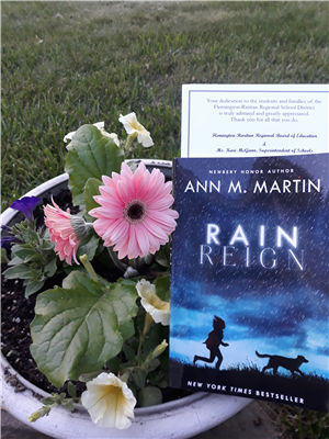 Rain Reign 