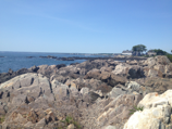 maine 